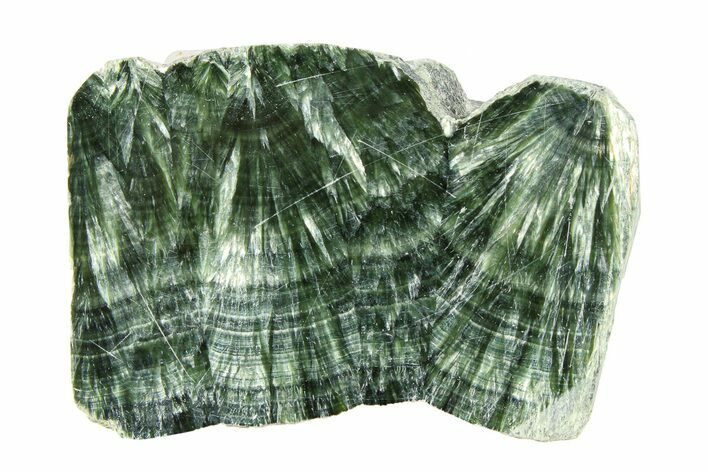 Polished Seraphinite Section - Korshunovkiy Mine, Siberia #301578